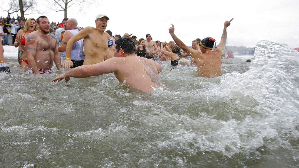 Burlington Penguin Plunge