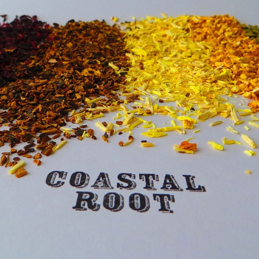 Coastal Root Bitters